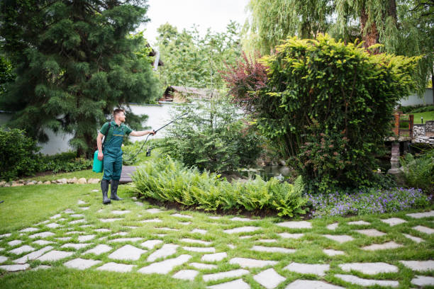 Best Wasp Removal Services  in Weaverville, CA