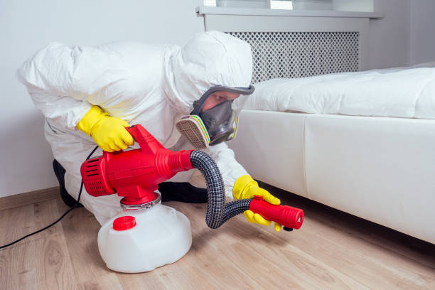 Best Pest Prevention Services  in Weaverville, CA