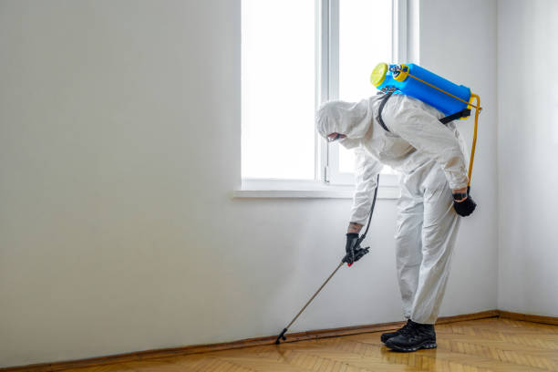 Best Best Pest Control Companies  in Weaverville, CA