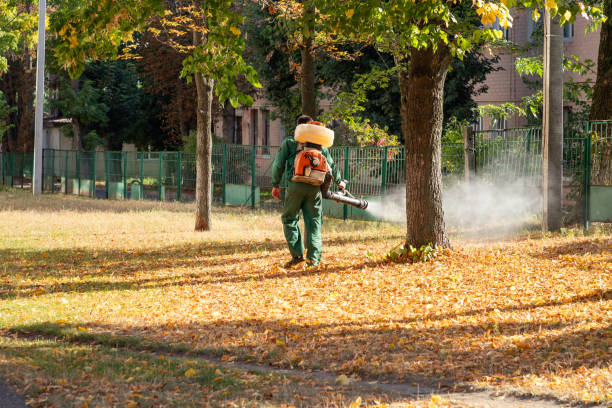 Best Commercial Pest Control Services  in Weaverville, CA