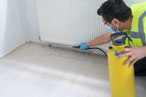 Best Emergency Pest Control  in Weaverville, CA